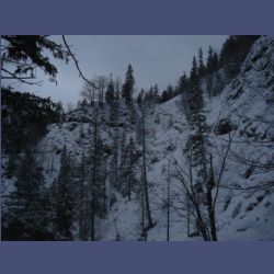 2013-02-02_Rappinschlucht_Lainlalm (080).jpg